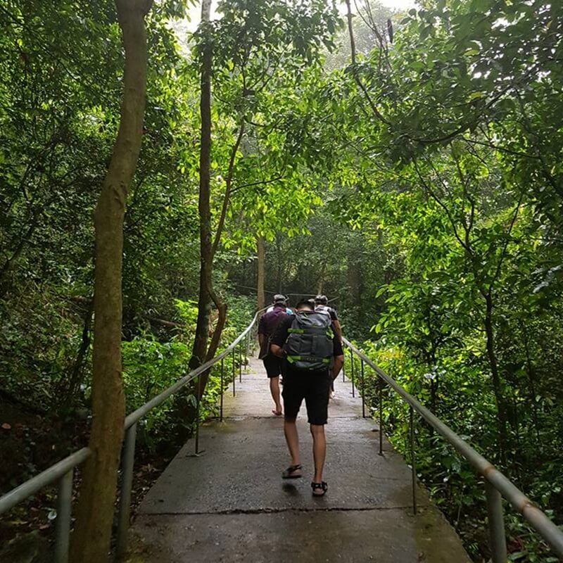 khám phá tour huế động thiên đường 1 ngày 